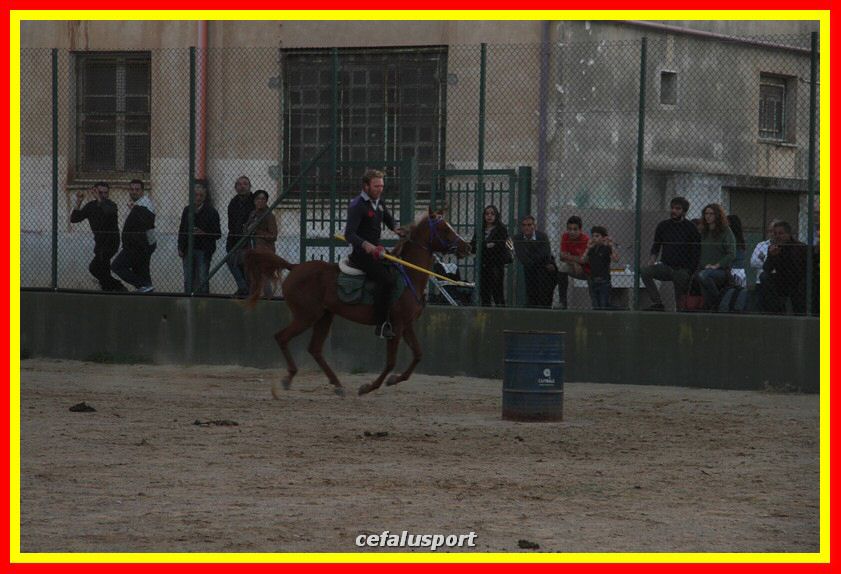 161106 equestre 090_tn.jpg